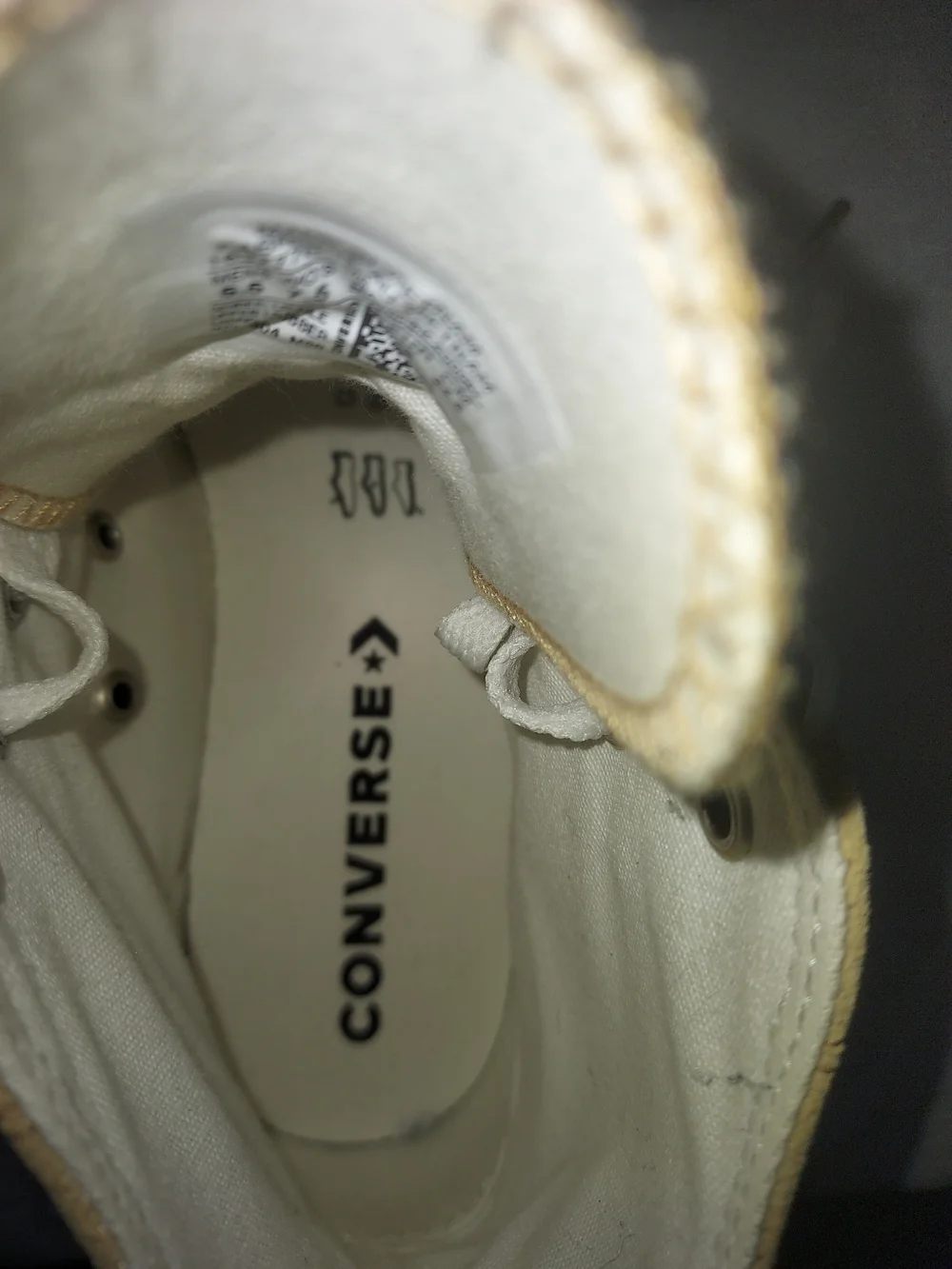 Converse Women's Leopard Print Canvas Sneakers with White Laces